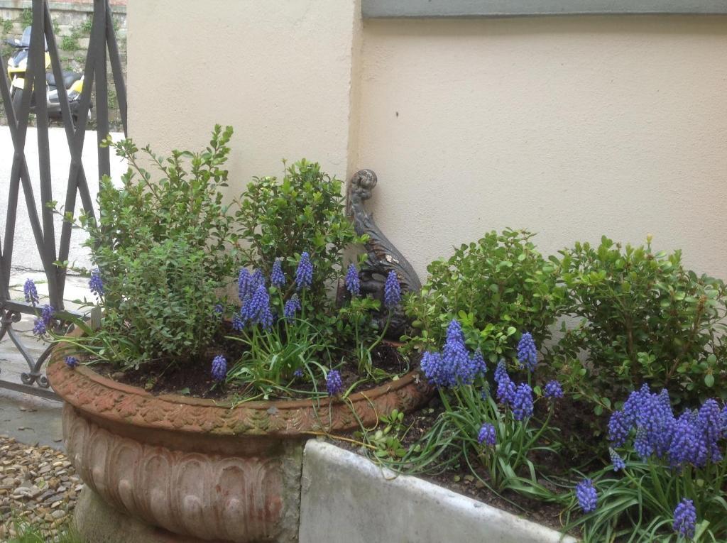 Al Giardino Delle Rose Hotel Firenze Bagian luar foto